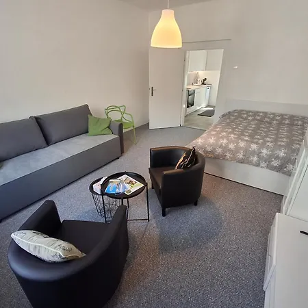 Apartman Zatec 자텍