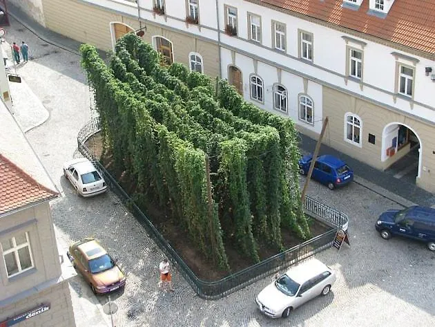 Apartman Zatec