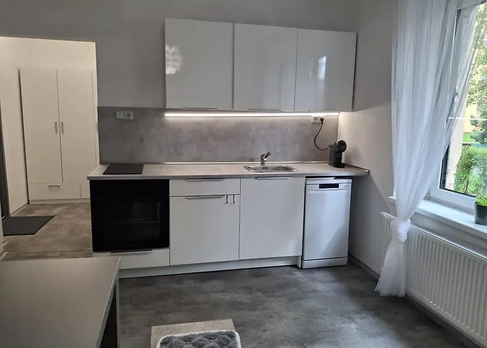 Apartman Zatec Апартаменты *